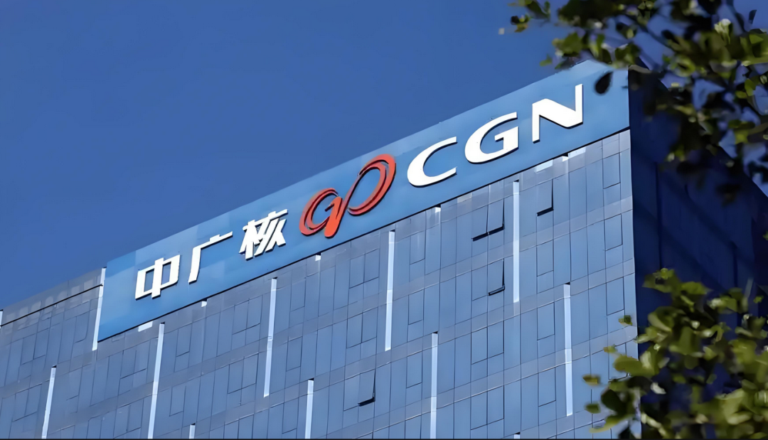 CGNGP control cabinet in-cabinet wiring and extension cord applications